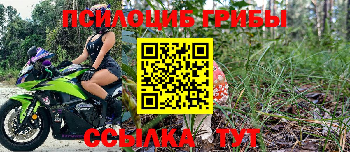 Галлюциногенные грибы Cubensis Нефтеюганск