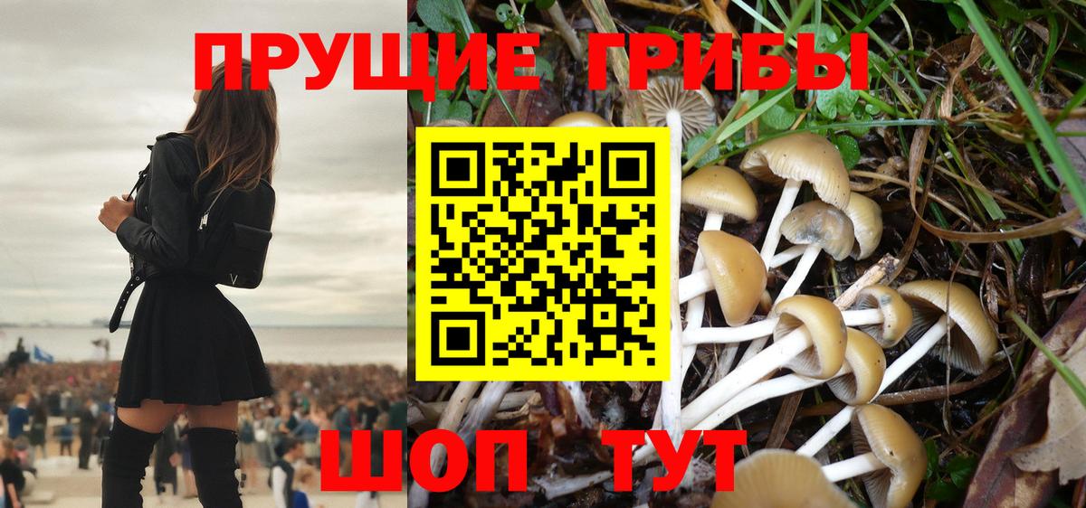 Нефтеюганск  Псилоцибиновые грибы прущие грибы  Псилоцибиновые грибы Psilocybine cubensis  Вход с VPN 